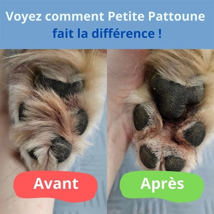 Tondeuse pour Pattounes de Chien